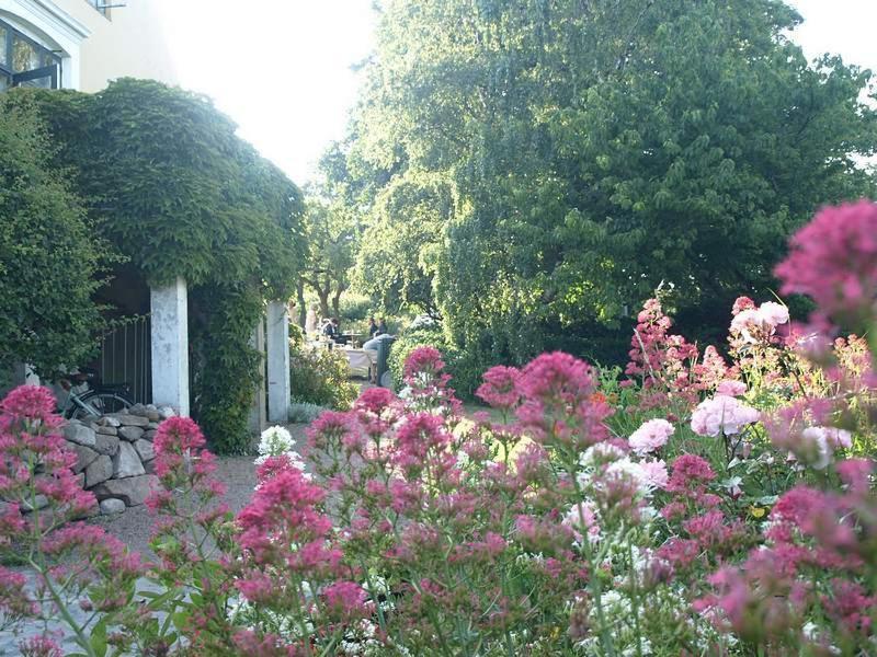 Bed and Breakfast Danchelshus Аллинге Экстерьер фото